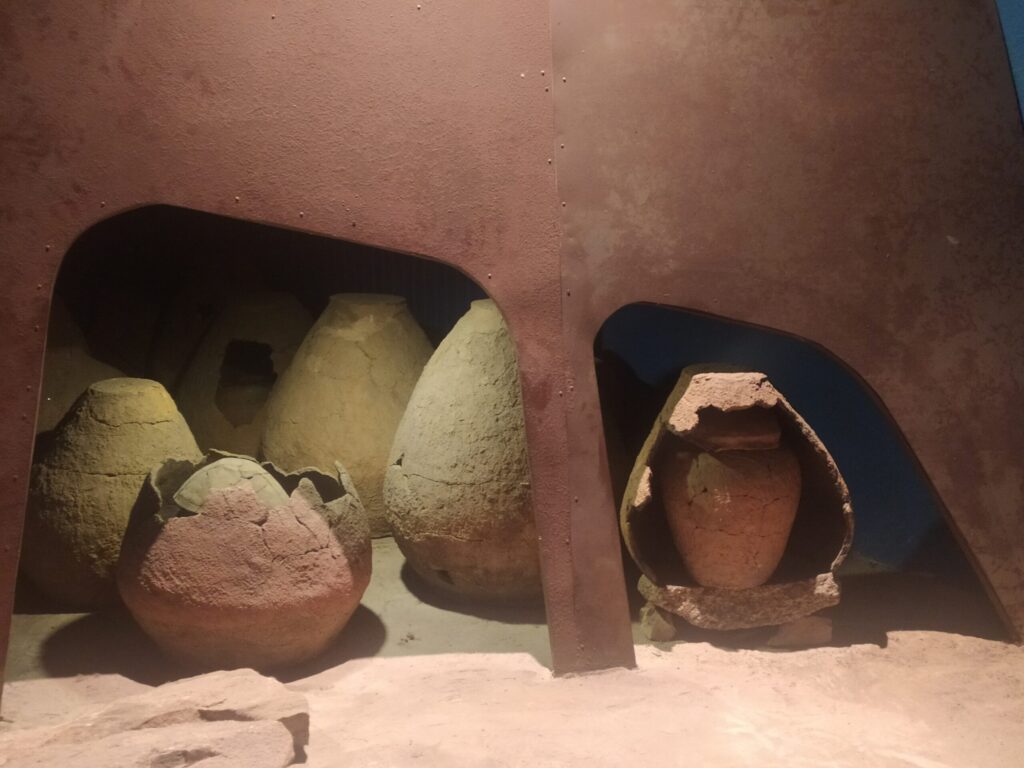 Groby podkloszowe na ekspozycji Muzeum Okręgowego w Bydgoszczy