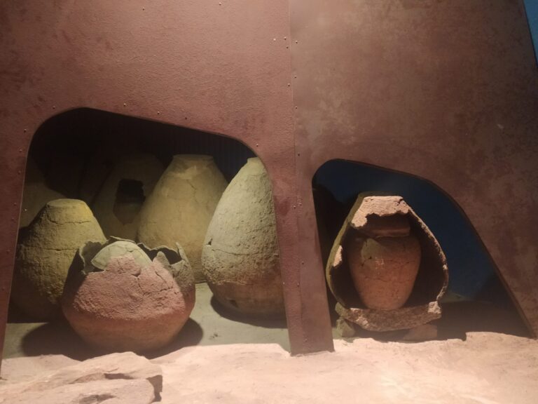 Groby podkloszowe na ekspozycji Muzeum Okręgowego w Bydgoszczy