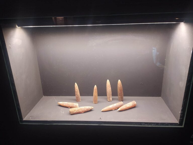 Strzałki piorunowe na ekspozycji Muzeum Kultury Ludowej Pomorza w Swołowie