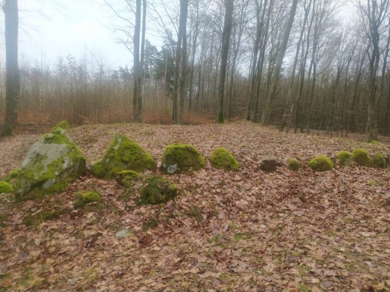 Kamienny grobowiec na leśnym cmentarzysku w Lewinie