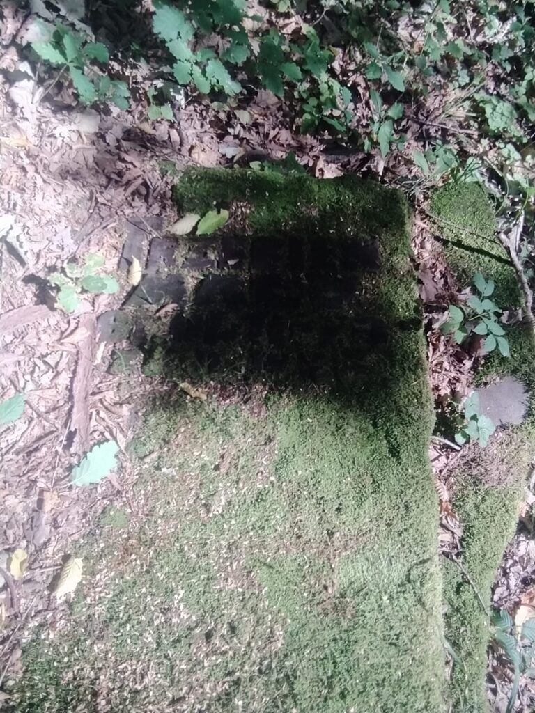 Zagłębienie w ziemi porośnięte mchem w okolicach Ślęży