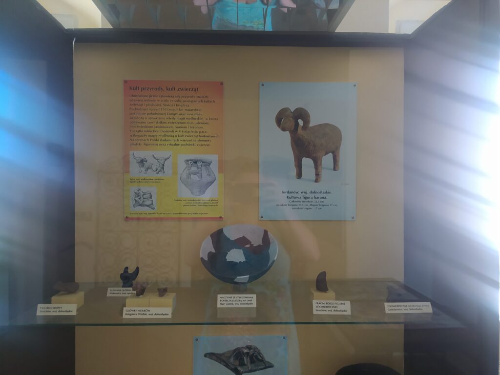 Ekspozycja muzealna z zabytkami i ilustracjami znalezisk archeologicznych