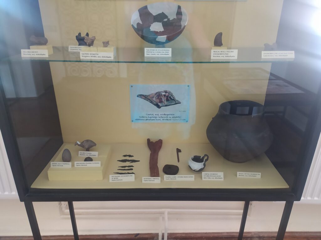 Gablota ze znaleziskami archeologicznymi w Muzeum Ślężańskim w Sobótce