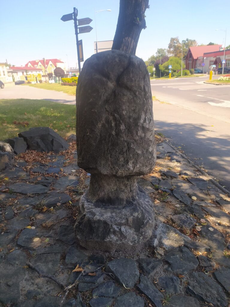 Kamienna rzeźba Grzyba w Sobótce przy kościele