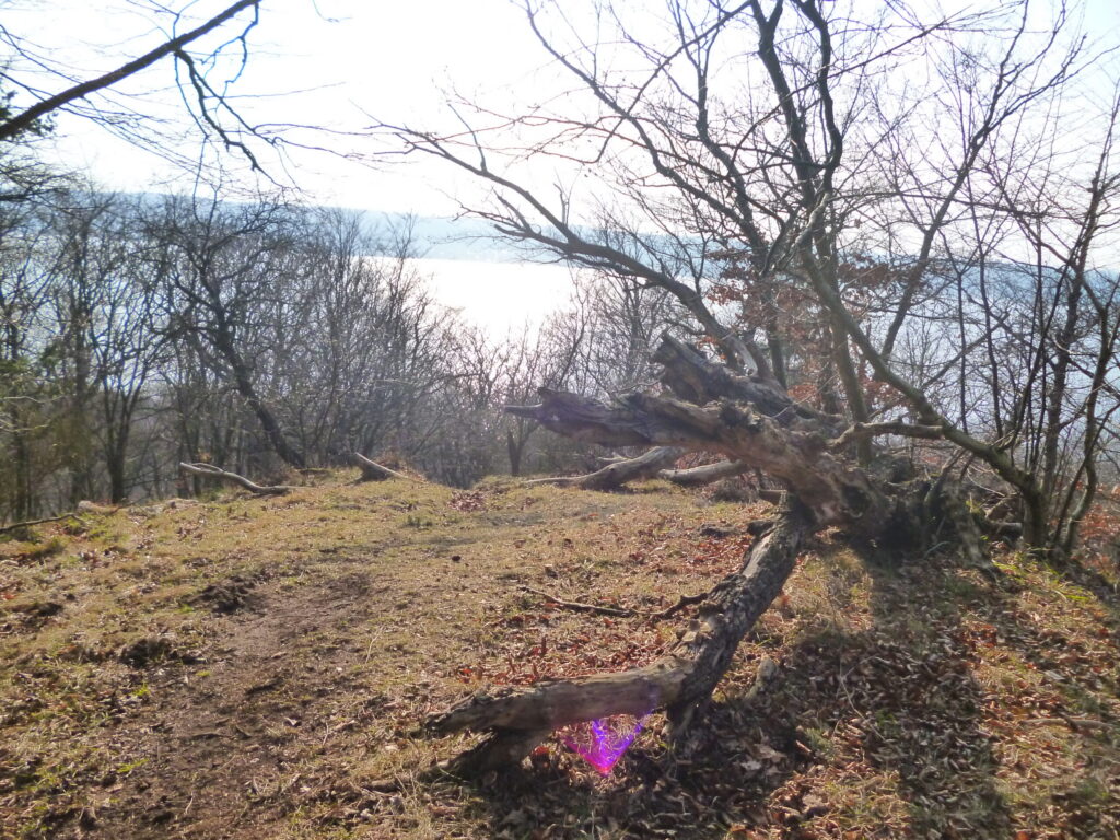 Polana na pomorskim grodzisku z widokiem na jezioro