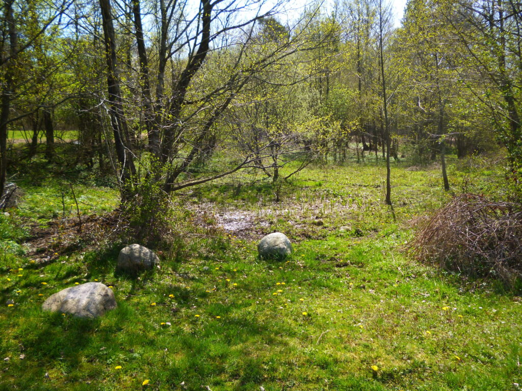 Kamienie i strumień na łące w okolicach pomorskiego grodziska
