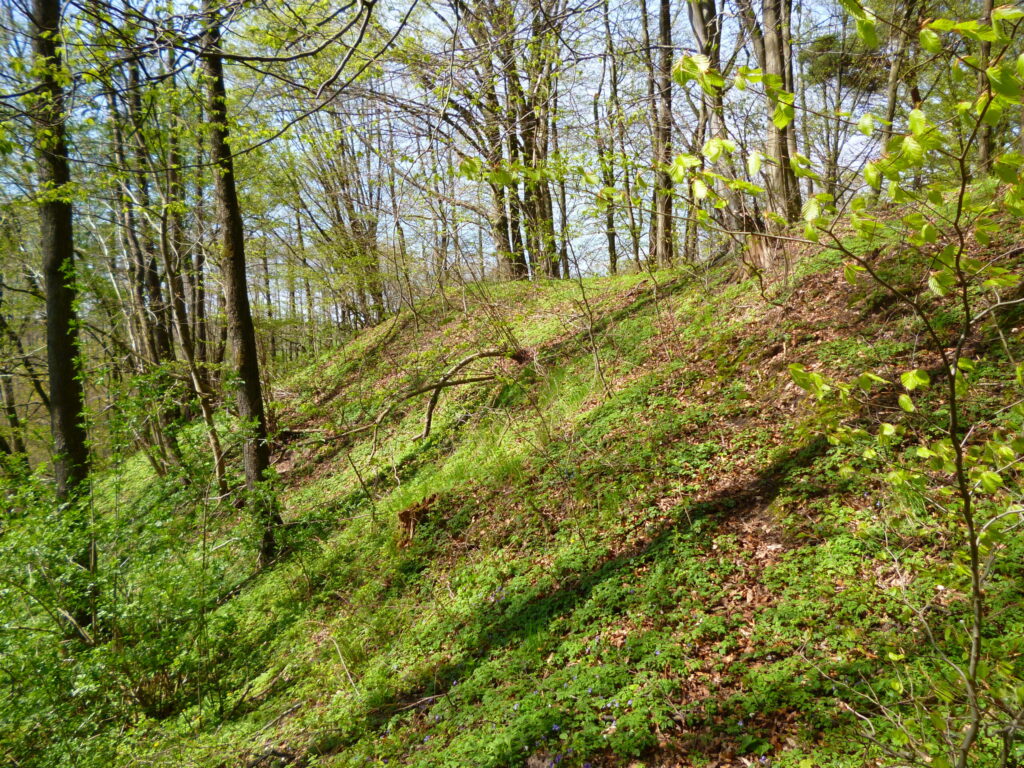 Strome, zielone zbocze pomorskiego grodziska